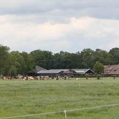 Hofstay195 Achterveld Luaran gambar