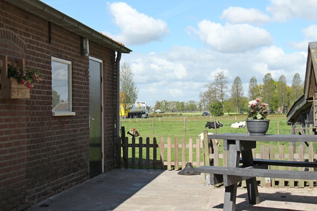 Hofstay195 Achterveld Luaran gambar