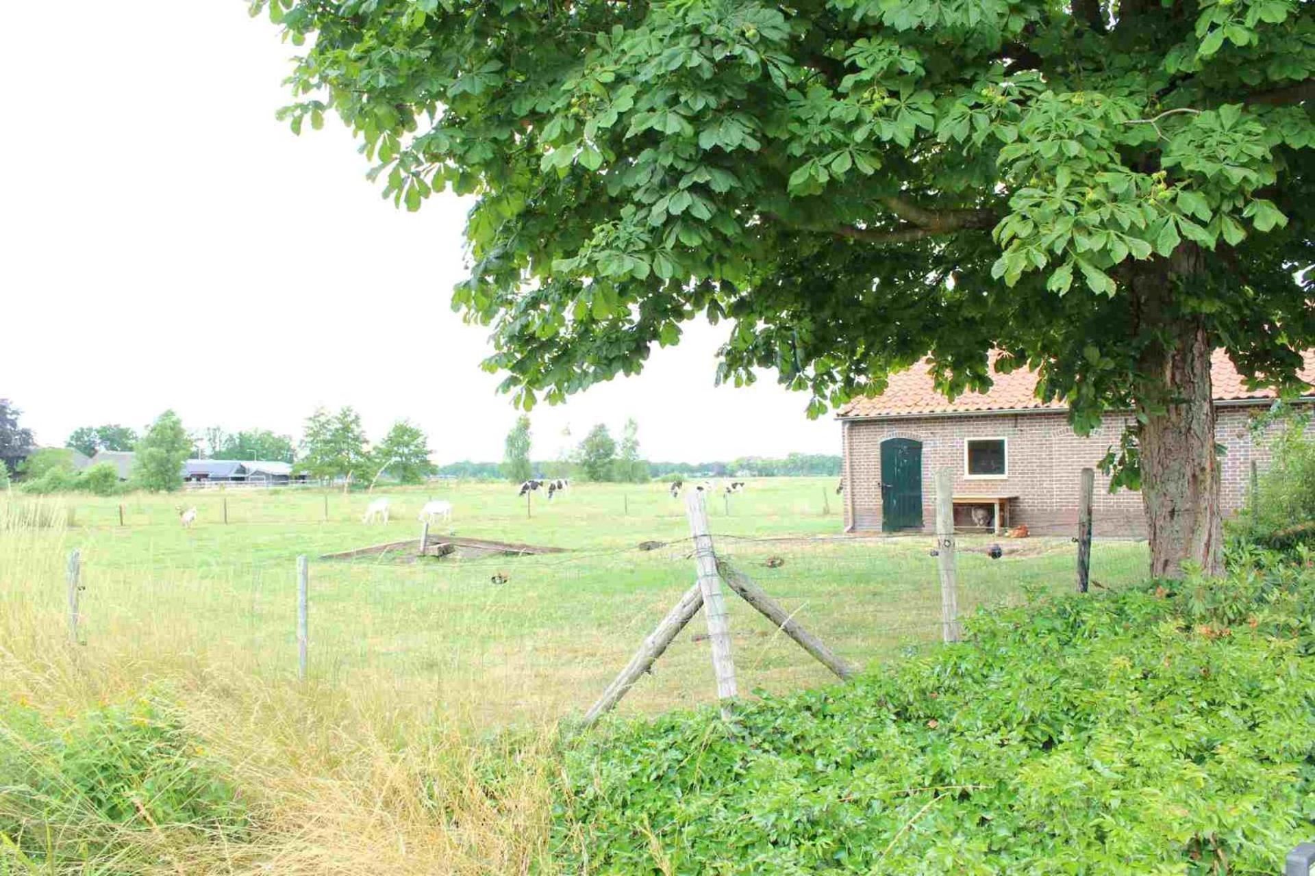 Hofstay195 Achterveld Luaran gambar