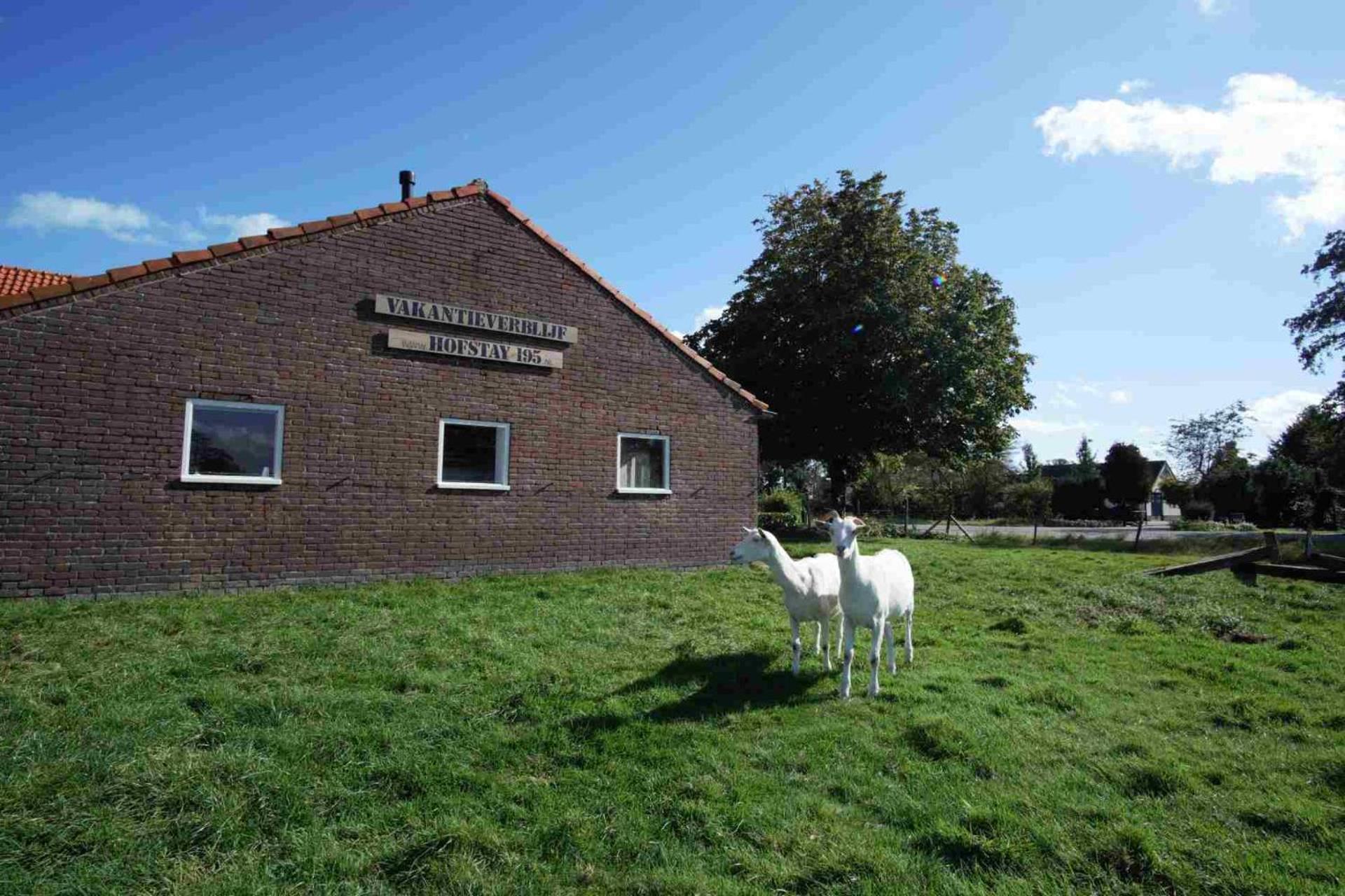 Hofstay195 Achterveld Luaran gambar